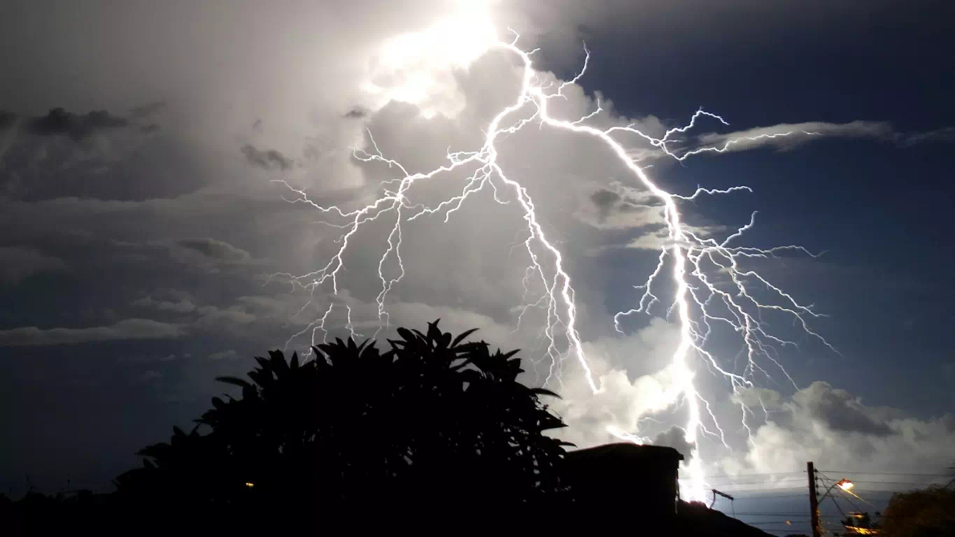 Lightning storm forking across a dark sky above treetops