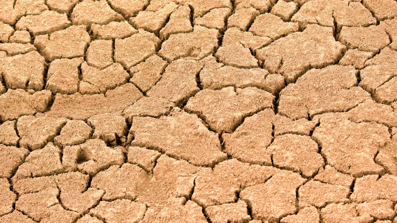 Cracked, drought-stricken earth